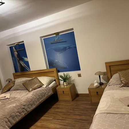 Apartmán Karlov Dvor